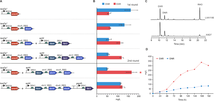 Fig. 6: Metabolic engineering of S. peucetius G001 for improved production of DXR.