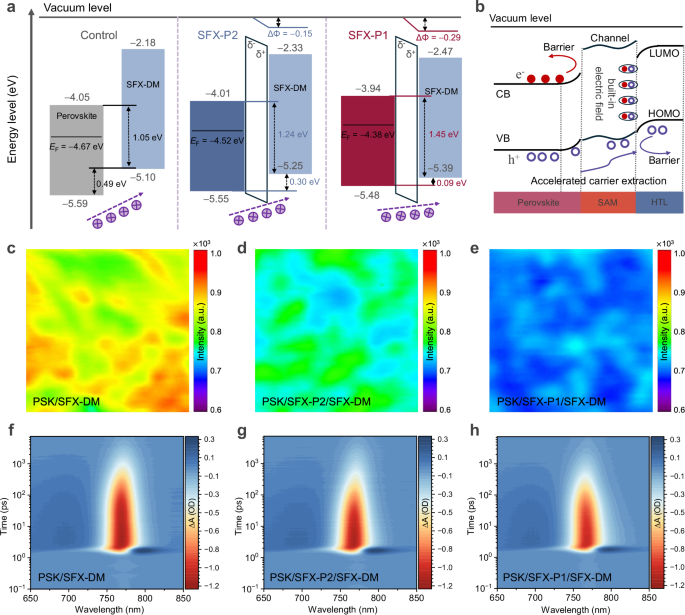 Fig. 4: Energy level alignment and carrier dynamics.