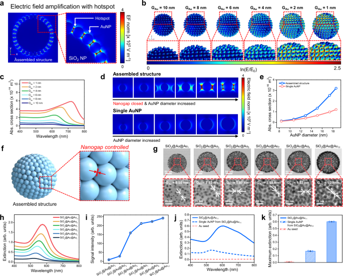 Fig. 2: Design with numerical simulation, fabrication, and characterization of colorimetric nanoprobes for SELFI.
