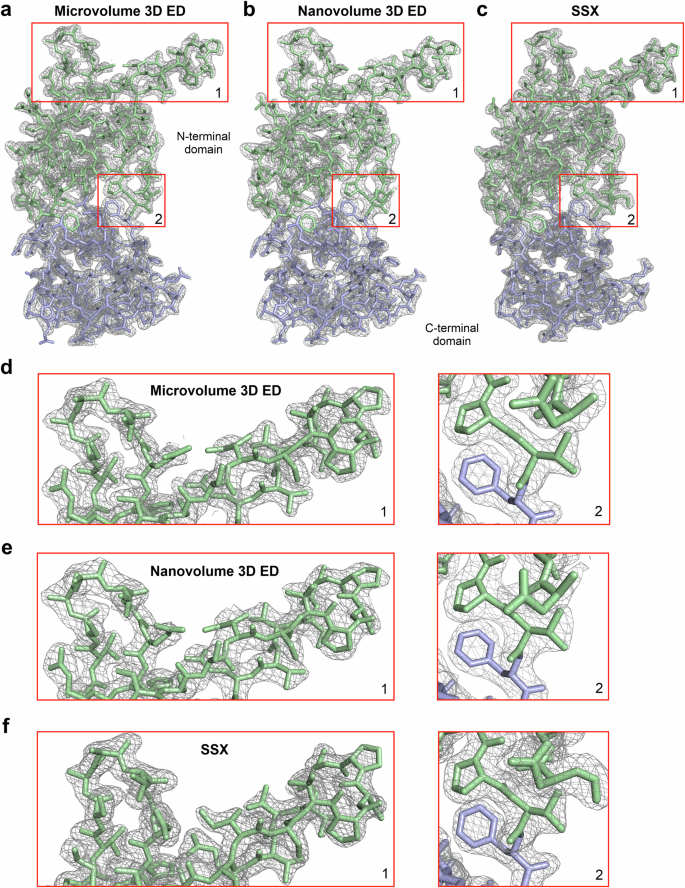 Fig. 4: High-quality electrostatic potential and electron density maps obtained from micro- and nano-volume 3D electron diffraction (ED) and serial synchrotron-radiation X-ray crystallography (SSX) data collected from in cellulo MgHEX-1 crystals.