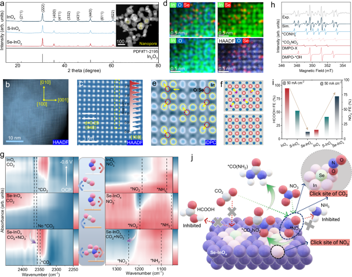 Fig. 3: Structural characterization and mechanistic insights into hierarchical click-sites.