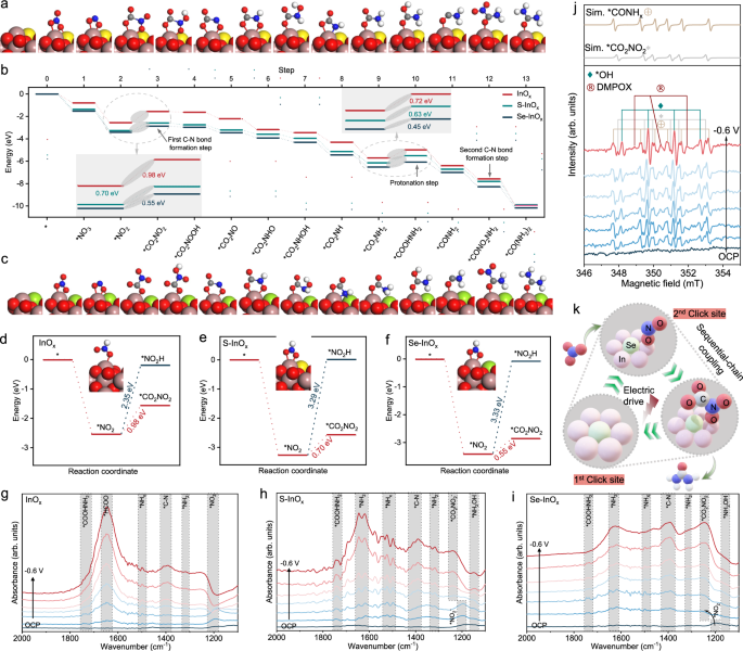 Fig. 5: Mechanistic study of C−N coupling via hierarchical click catalytic sites.