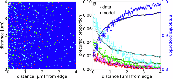 Fig. 5: Simulated MM and precursor proportions.