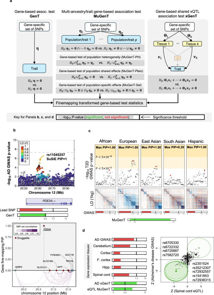 Fig. 1: Overview of Methods.