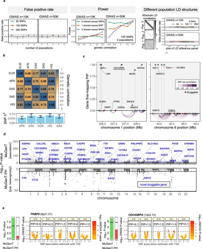 Fig. 3: Multi-ancestry gene-based association test applied to T2D.