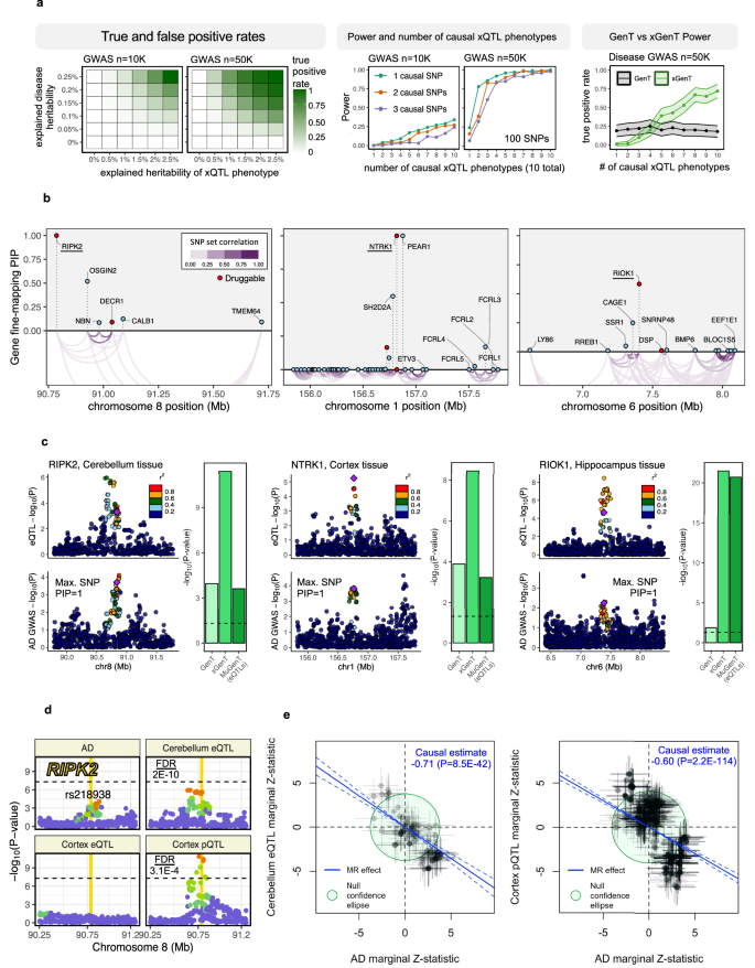Fig. 4: Gene-based tests of Alzheimer’s disease integrating eQTLs.