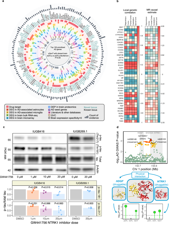Fig. 5: Multi-omics validation of prioritized AD risk genes.