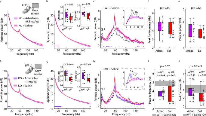 Fig. 8: Alpha-like oscillations are less sensitive to Arbaclofen in Fmr1-/y than WT mice.