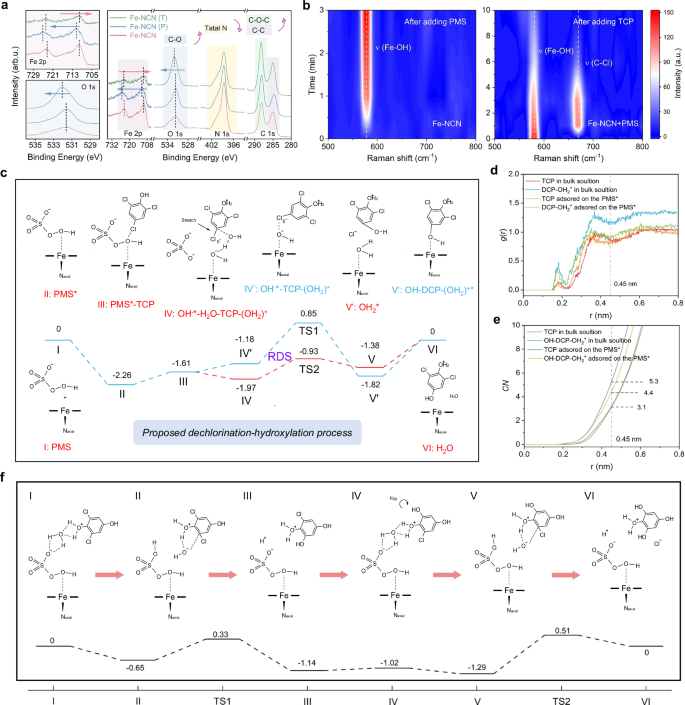 Fig. 4: Identification of polymerization products and mechanism of C-O polymerization of pollutants in DHP path.