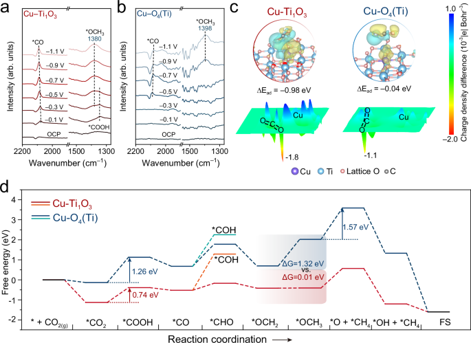 Fig. 6: Mechanism research of CO2RR on Cu single-atom catalysts.