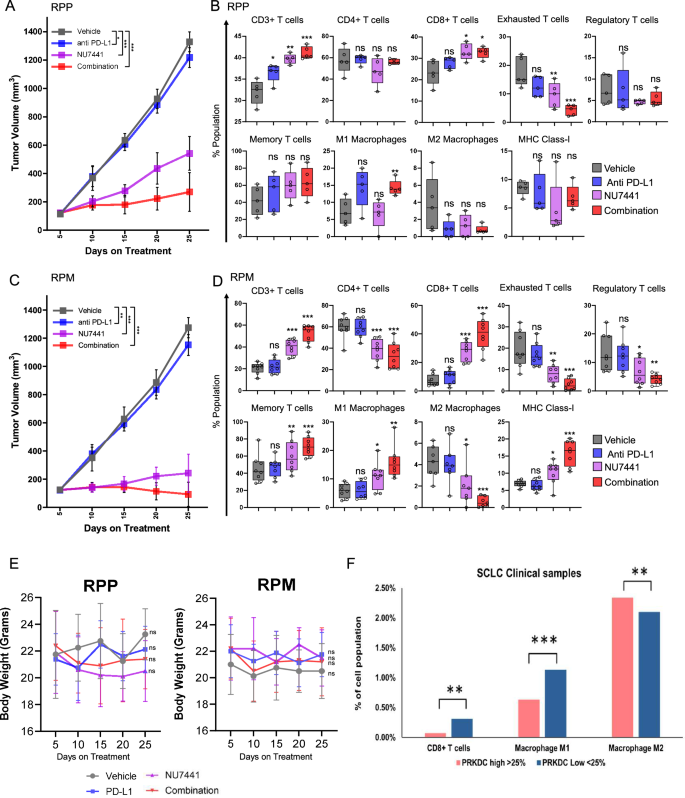 Fig. 5: Inhibition of DNAPKcs with or without anti-PD-L1 results in significant tumor regression in two unique immuno-competent GEM models of SCLC and modulates tumor immune micro-environment.