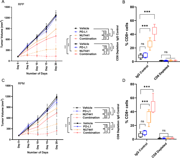 Fig. 7: Anti-tumor efficacy of DNAPKcs inhibition with or without anti-PD-L1 in 2 unique immuno-competent GEM models of SCLC dependent on increase in cytotoxic T-lymphocytes.