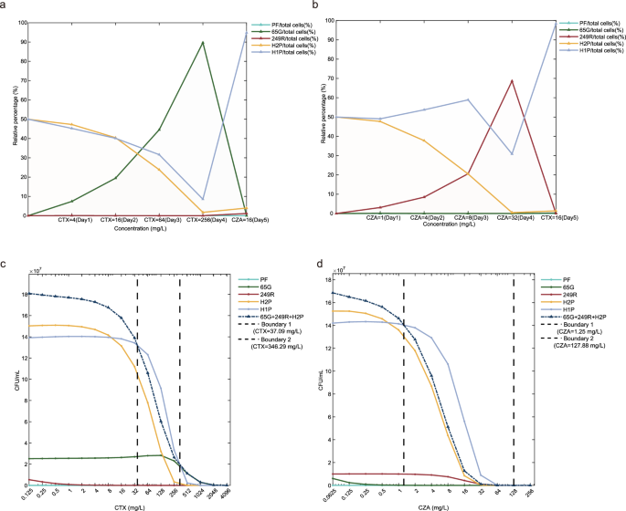 Fig. 6: Mathematical model simulations of competitive dynamics and dominance boundaries in H1P and H2P strains.
