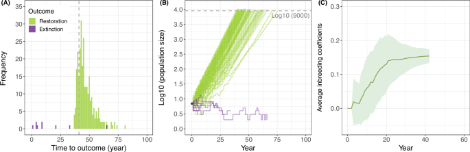 Fig. 2: Simulation outcomes of crested ibis restoration.