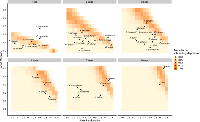 Fig. 5: The net effect of inbreeding depression on population recovery across broad parameter ranges of juvenile and adult mortality.