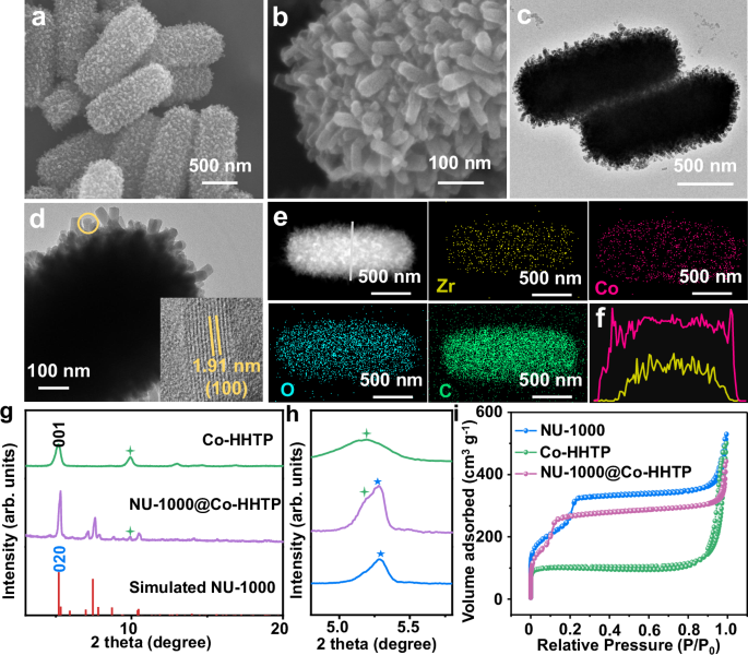 Fig. 2: Morphology and structural characterization.