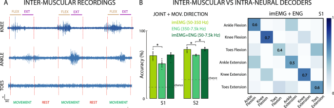 Fig. 5: Informing intraneural decoders with inter-muscular EMG signals.