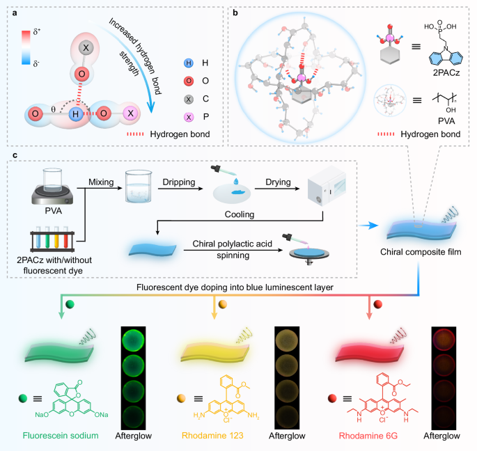 Fig. 1: Schematic diagram for constructing multicolor chiral organic afterglow (COA) by hydrogen bond mediation and phosphorescence energy transfer.