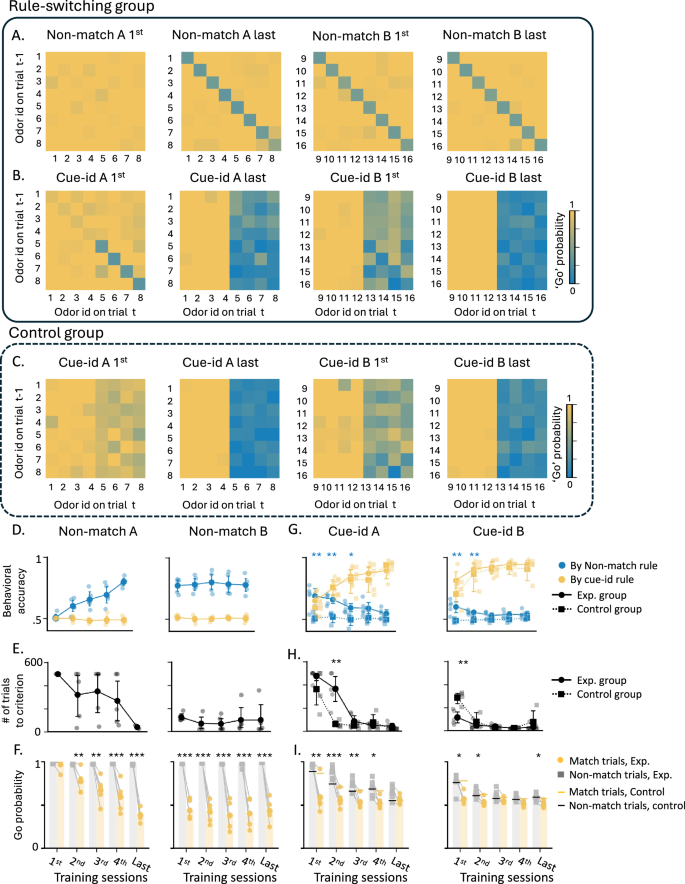Fig. 2: Learning dynamics under non-match and cue-identity rules.