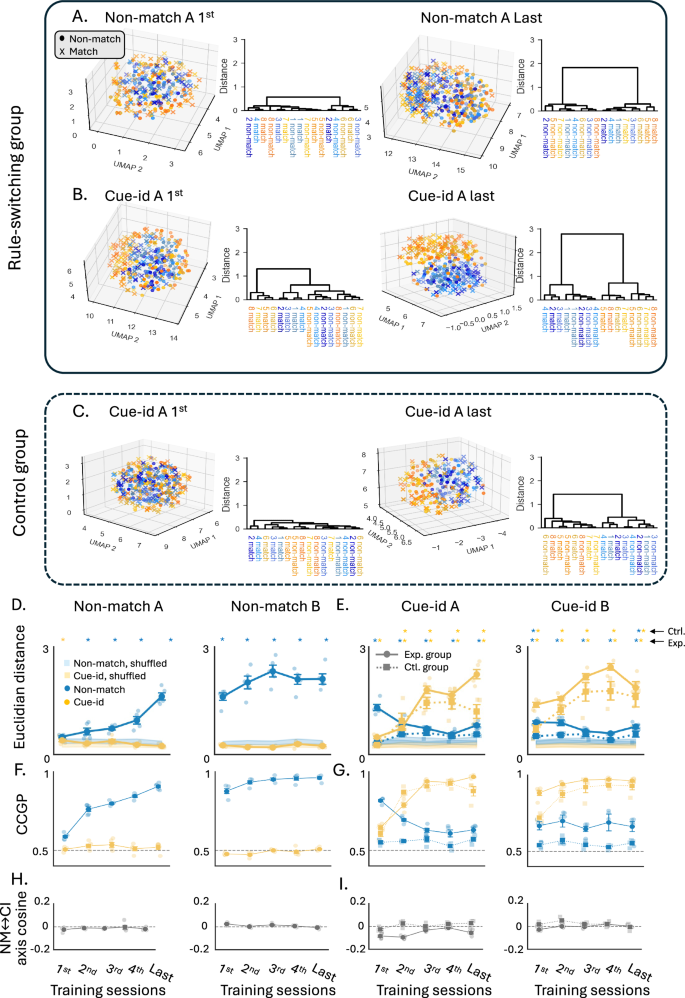 Fig. 5: Increased neural population representation of the new rule with persistent and orthogonal representation of the irrelevant rule.