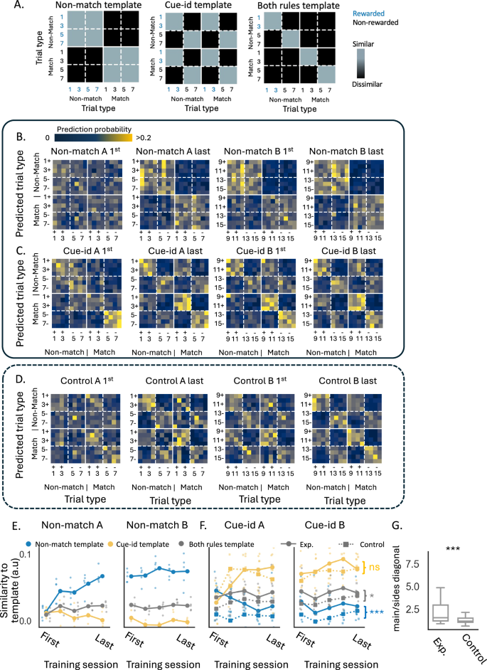 Fig. 6: Rule-related structure in population decoding with persistent influence of the irrelevant rule.