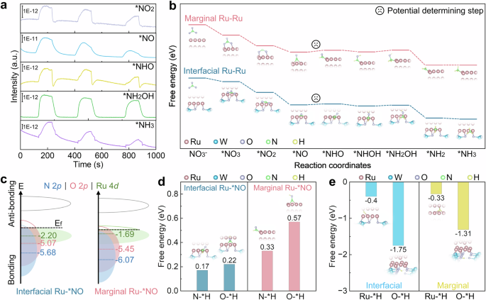 Fig. 3: Identification of the active centers for NO3-RR on Ru/WO3-x.