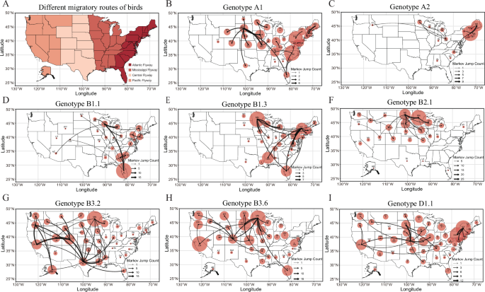Fig. 1: Spatial dissemination of HPAI-H5 genotypes across the United States from January 2022 to April 2025.