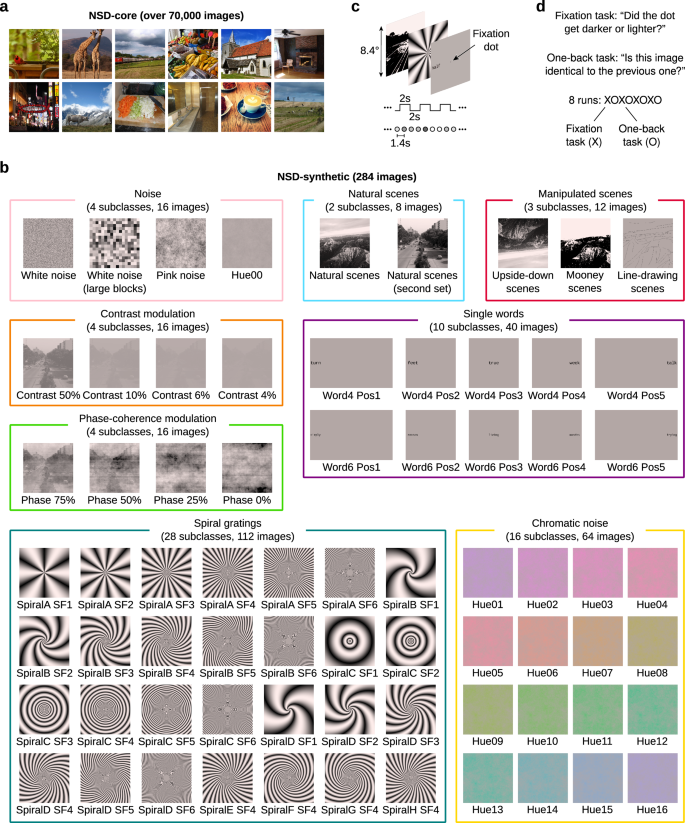 Fig. 1: Stimuli and experimental design.