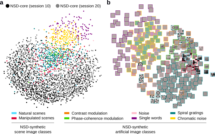 Fig. 3: Multidimensional scaling (MDS) confirms brain responses to NSD-synthetic’s artificial stimuli are out-of-distribution with respect to natural scenes.