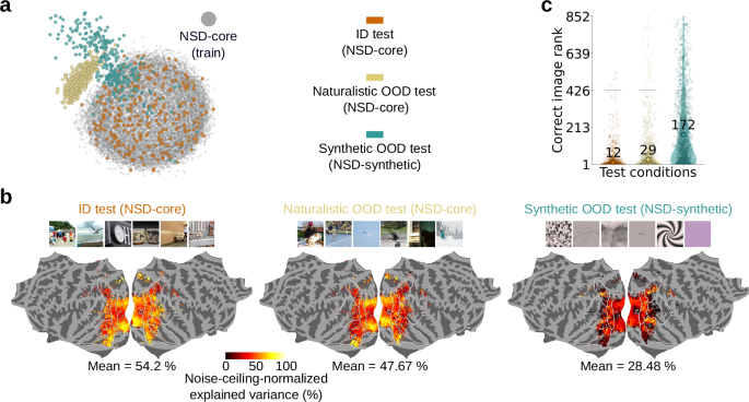 Fig. 7: NSD enables out-of-distribution tests of brain models across both naturalistic and synthetic stimulus images.
