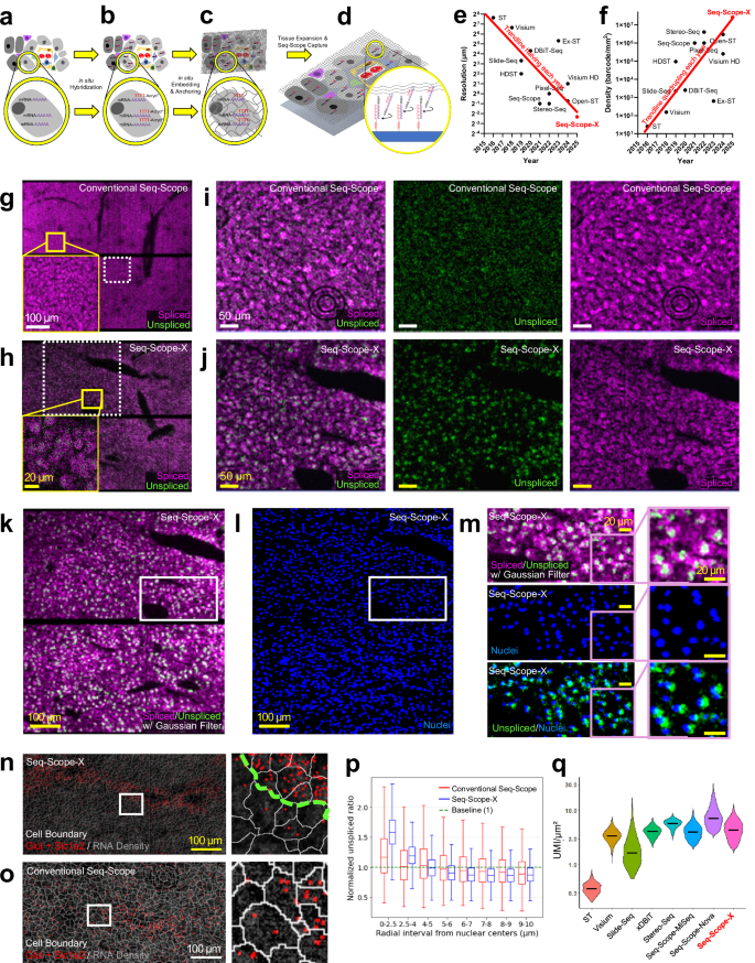 Fig. 1: Methodology and Performance of Seq-Scope-X.