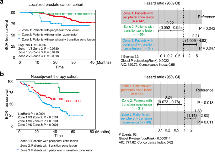 Fig. 1: Clinical and pathological sampling overview.