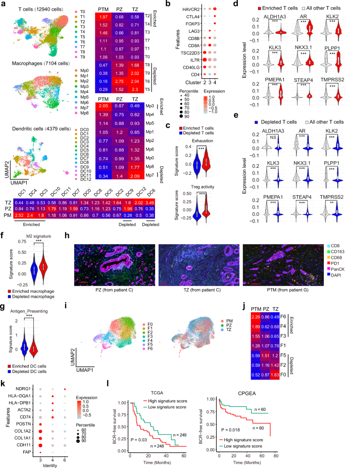 Fig. 4: Characteristics of microenvironment in three cohorts.