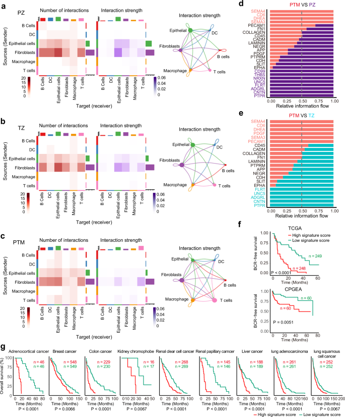 Fig. 5: Cell communications between different cell types in three cohorts.