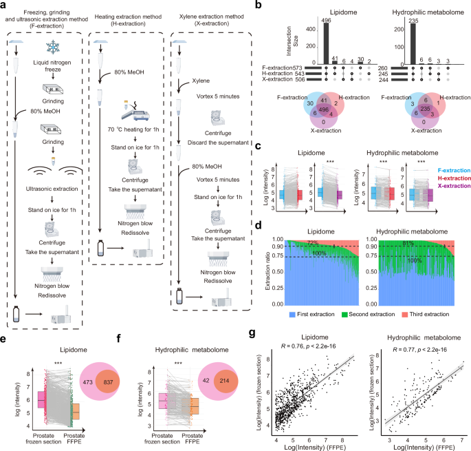 Fig. 6: Establishment of mxFRIZNGRND method for metabolome analysis using FFPE samples.