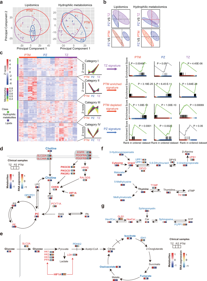 Fig. 7: Metabolomic analysis of three cohorts.