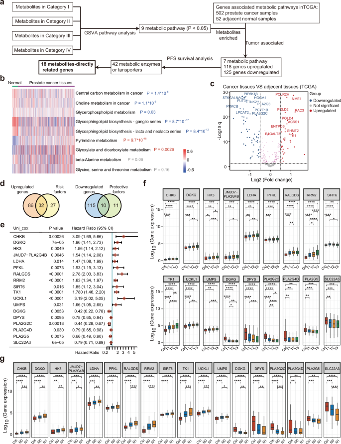 Fig. 8: Integrative analysis of mxFRIZNGRND results with the TCGA database.