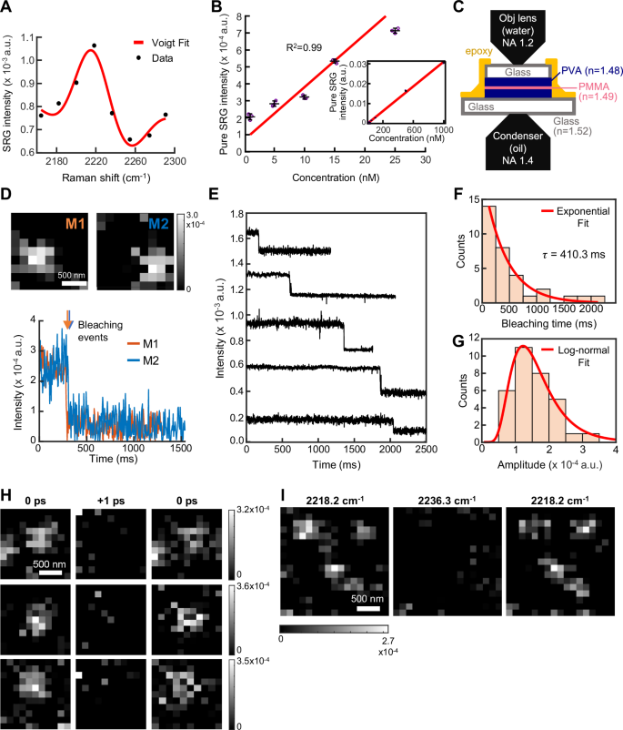 Fig. 4: Single-molecule ER-SRS imaging.