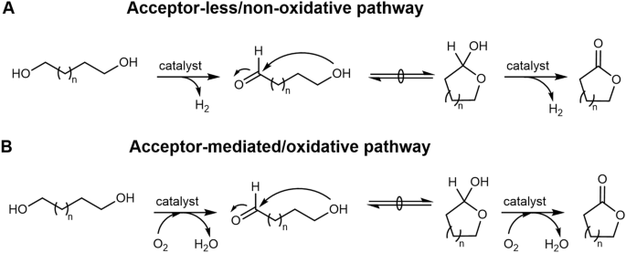 Fig. 1: Reaction pathways for lactone production from diols.