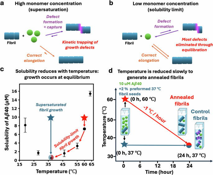 Fig. 3: Controlling fibril growth defect frequency by varying supersaturation levels.