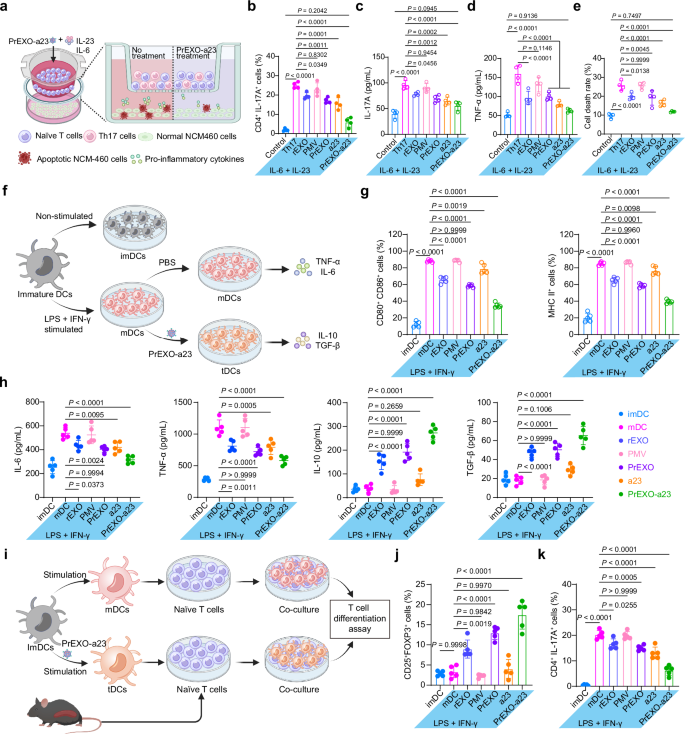 Fig. 3: Anti-inflammatory and immune tolerance regulation effects of PrEXO-a23 in vitro.