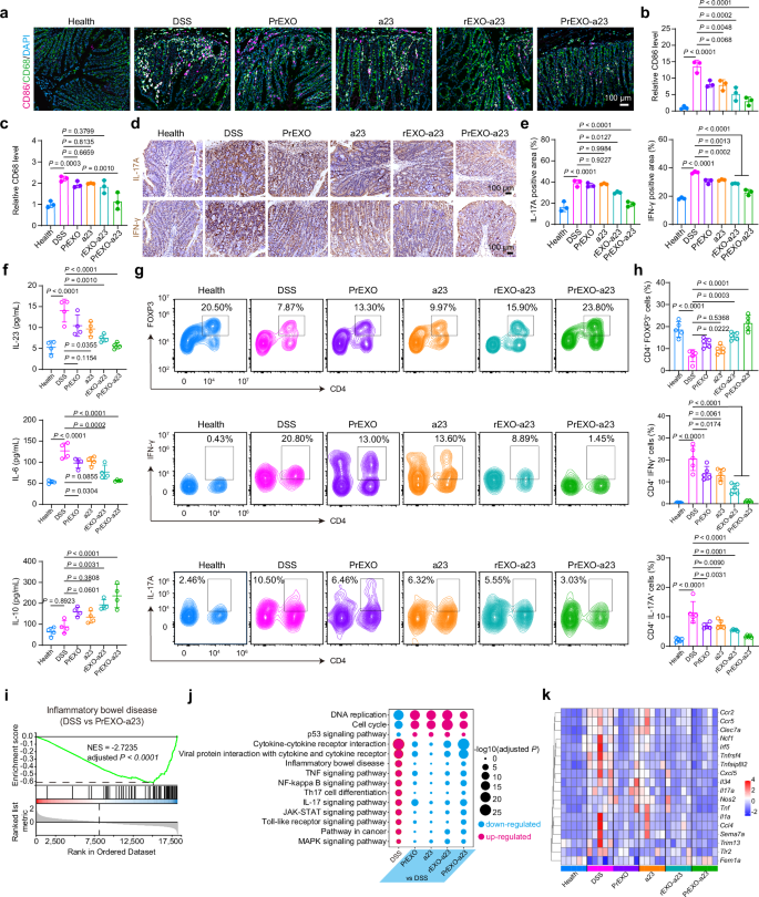 Fig. 5: Immune dysregulation modulation of PrEXO-a23 in colonic tissues.