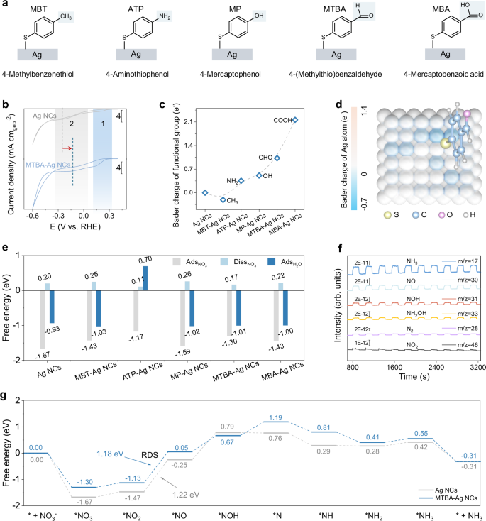 Fig. 1: Rational Ligand Screening on Ag NCs for NO3RR.