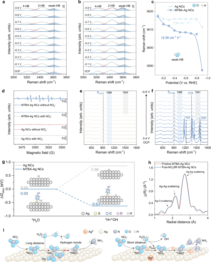 Fig. 4: Mechanistic investigation of Ag NCs and MTBA-Ag NCs during NO3RR.