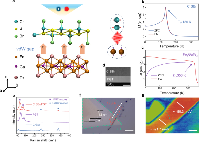 Fig. 1: Schematic illustration and physical properties of CrSBr/FGT heterostructures.