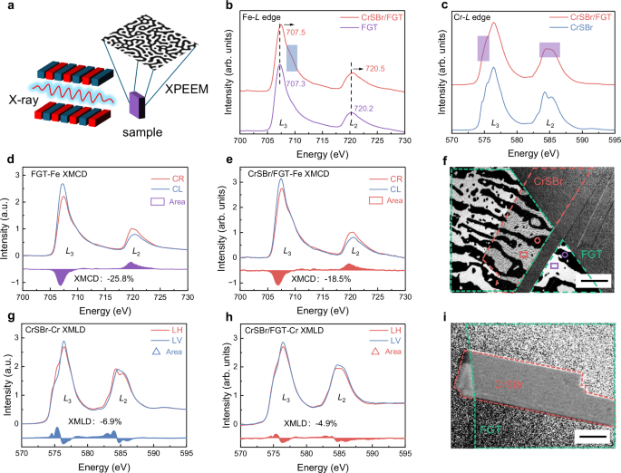 Fig. 4: Features of magnetic texture and magnetic moment.