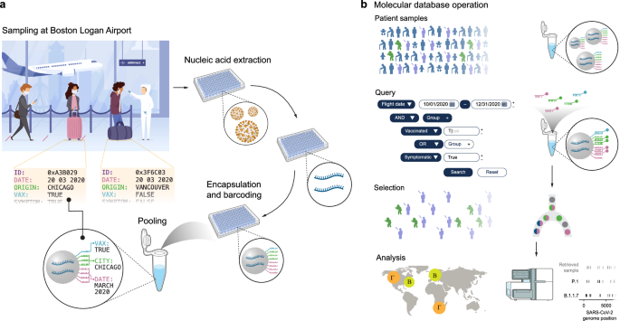Fig. 1: Application of a molecular database to simulated SARS-CoV−2 tracking.