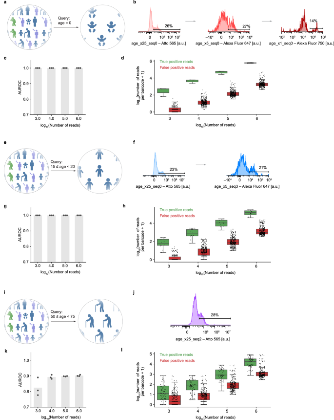 Fig. 4: Database querying results for different age range queries.