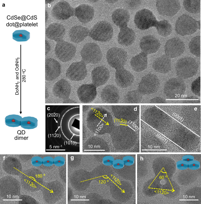 Fig. 1: Synthesis of (11
                        $$\overline{2}$$
                        
                          
                            
                              2
                            
                            ¯
                          
                        
                       0)-attached homodimers and trimers with nearly monodisperse size, neck dimensions, and epitaxial axis.