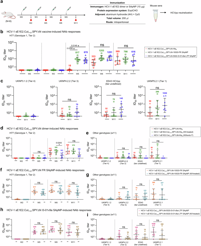 Fig. 6: Antibody responses to rationally designed HCV-1 sE1E2.Cut1+2.SPYΔN heterodimer and SApNP vaccines in mice.